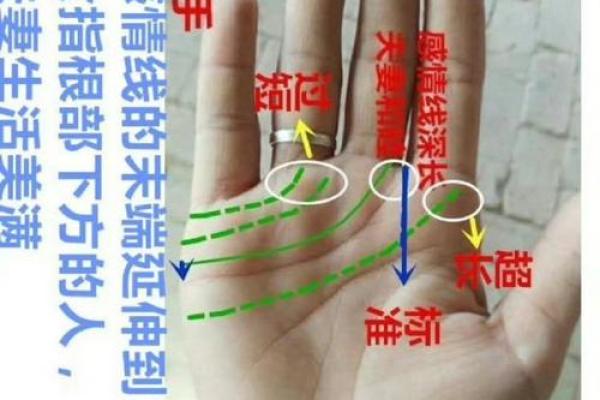 女性手相解析：掌握命运的秘密钥匙