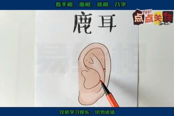 耳朵贴脑面相揭秘：财运亨通的秘密面相特征