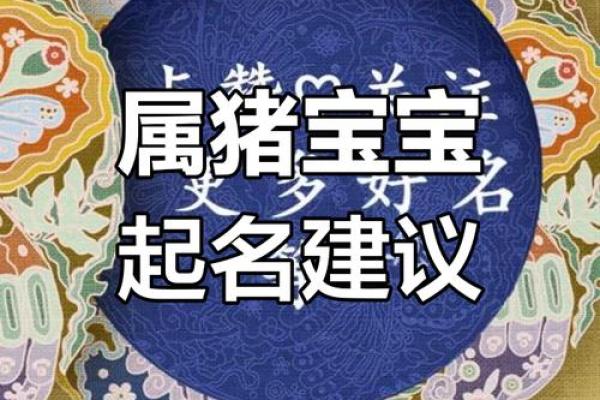猪宝宝取名罗：温馨创意好名字