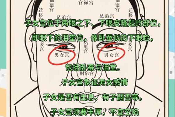 无鼻梁面相揭秘：揭秘运势起伏的秘密！