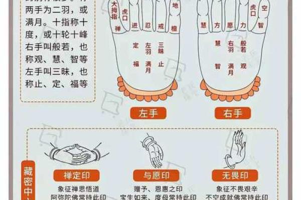 神秘手纹解码，凸凹字纹揭秘！