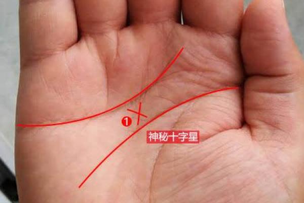 神秘手纹解码，凸凹字纹揭秘！