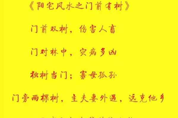韦昭尤阳宅风水秘籍：揭秘居家风水布局的艺术