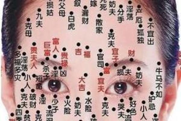 痣相面相解析宝典，女人图解大全教你识人术
