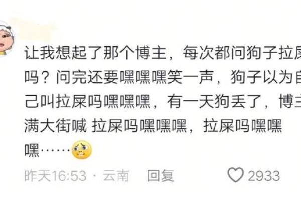 奇葩宠物名字大盘点，竟然有这么多奇特的选择
