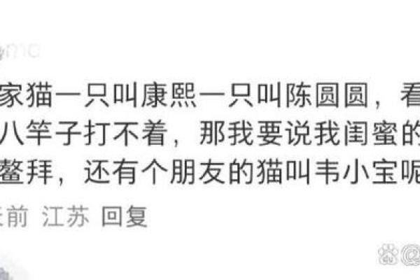 奇葩宠物名字大盘点，竟然有这么多奇特的选择