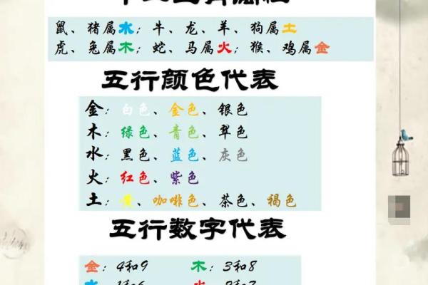 承五行，传承千年智慧