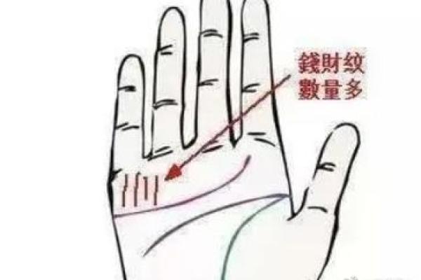 掌中财运，揭秘手相中的财富密码
