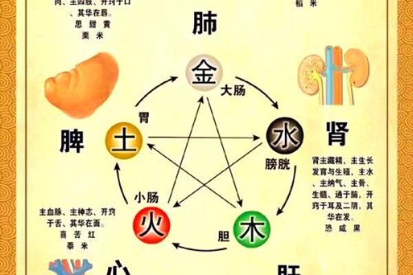 探讨燃五行属什么及其对命理的影响