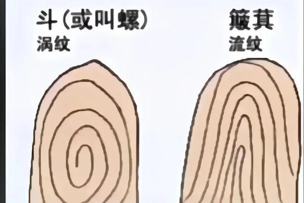 无螺之美：探索无螺手相的独特魅力
