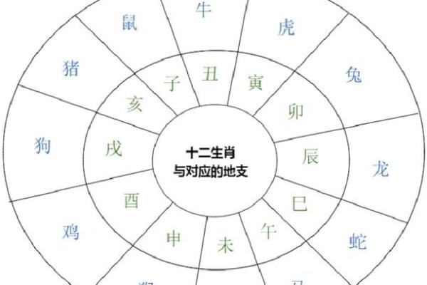 从生肖到天干地支：古人如何看待命运