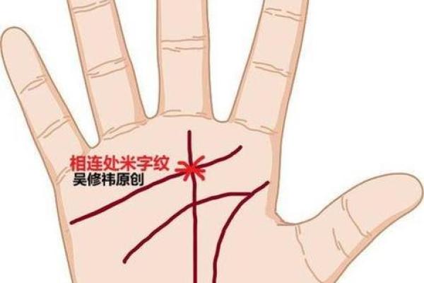 米字纹在手，运势亨通，揭秘手相中的秘密符号