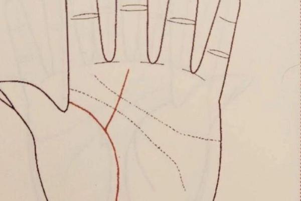 米字纹在手，运势亨通，揭秘手相中的秘密符号