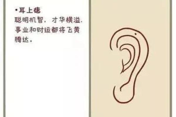 麻衣神相秘术大公开：耳朵有痣竟有这些神奇寓意！