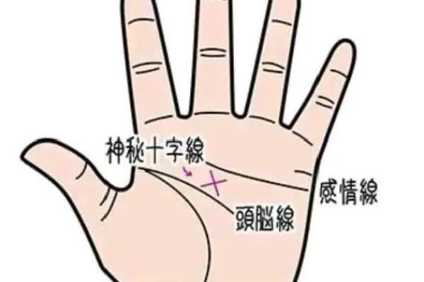 神秘手相揭秘：命运密码尽在掌中