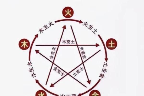 通过五行解读内脏健康的密码