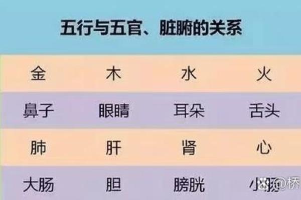 通过五行解读内脏健康的密码