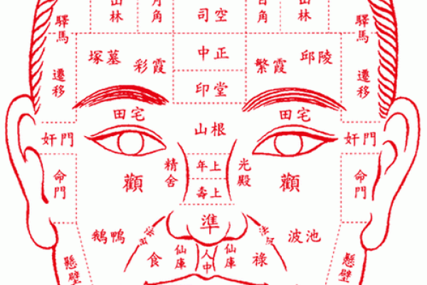 心有灵犀，交心首选——识破值得信赖的面相秘诀