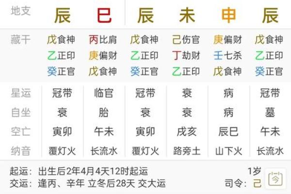 舍五行属什么的全面解析