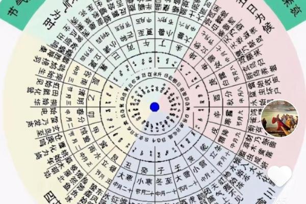 十二地支之和：宇宙与人生的交织