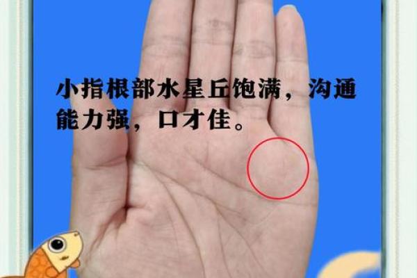 眼纹手相大揭秘：探寻命运轨迹的神奇密码