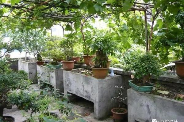 庭院风水宝典：花池摆设，让你的家财运亨通