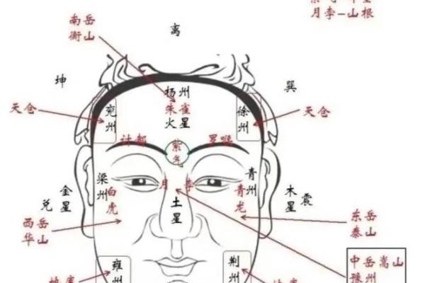额头伤疤：面相中的命运印记