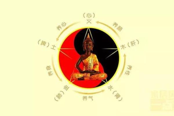 城市风水大师：揭秘风水布局规划软件，让你的城市焕发生机
