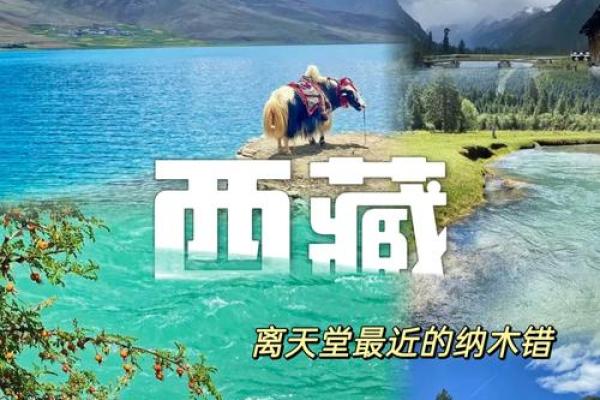 探秘藏族传统文化中的禁忌与信仰