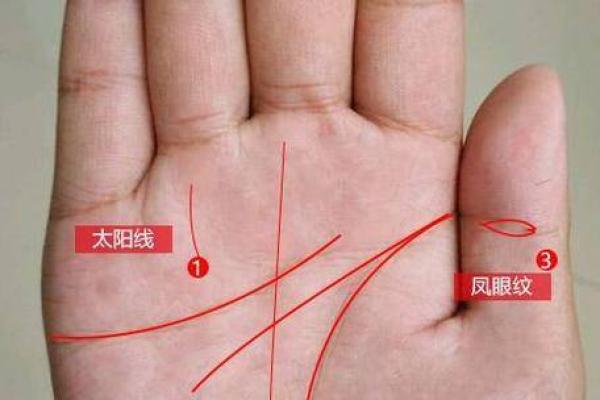 破茧成蝶，叛逆纹手相带你探索自我魅力