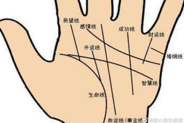 金星圈手相揭秘:掌握运势的神秘密码 金星圈手相揭秘:掌握运势的神秘密码