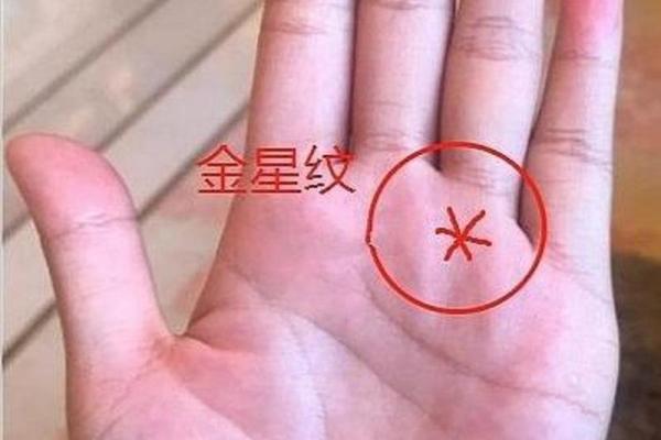 金星圈手相揭秘:掌握运势的神秘密码 金星圈手相揭秘:掌握运势的神秘密码