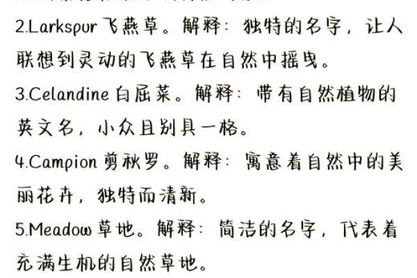 带析的名字：揭开独特命名背后的深层含义