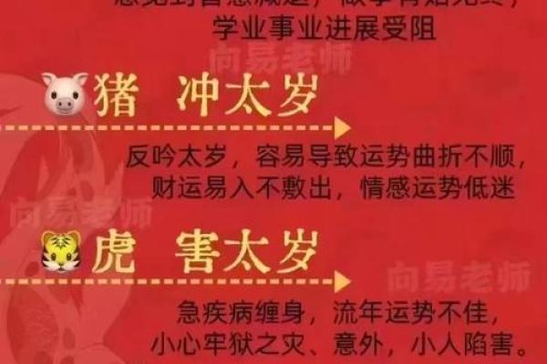 胡皝:文雅睿智,前程似锦——姓名运势之瑰宝解析 胡皝:文雅睿智,前程似锦——姓名运势之瑰宝解析