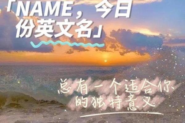 如何为算法公司起个独特且有吸引力的名字