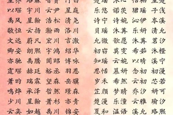 如何为算法公司起个独特且有吸引力的名字