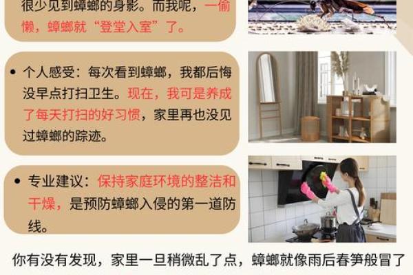 家居风水揭秘：如何避免疾病缠身？
