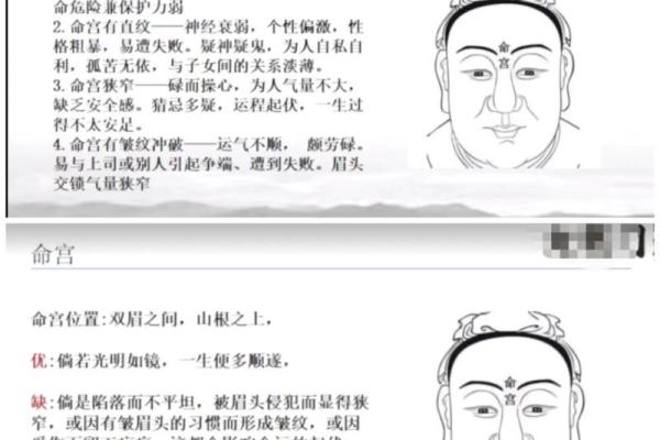 命宫地支同日支对命运的深远影响