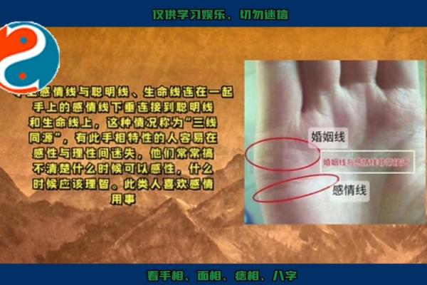 异地手相，揭秘运势奥秘