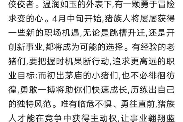 属马职场风水宝典，助你事业腾飞的秘密武器