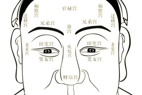 小孩低智商面相揭秘：面相特征解析与解读