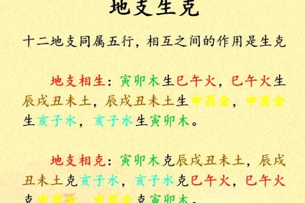 地支卯与财富的关系解析