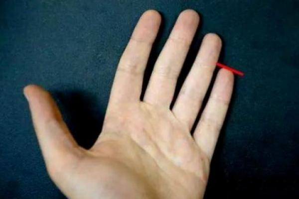 马云手相揭秘：成功密码尽在其中！