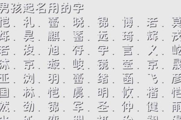 高氏萌猪宝宝名
