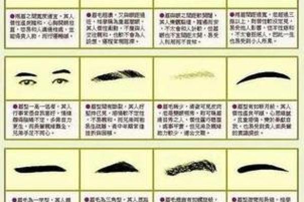 驿马星动，山林藏龙：揭秘面相中的运势奥秘