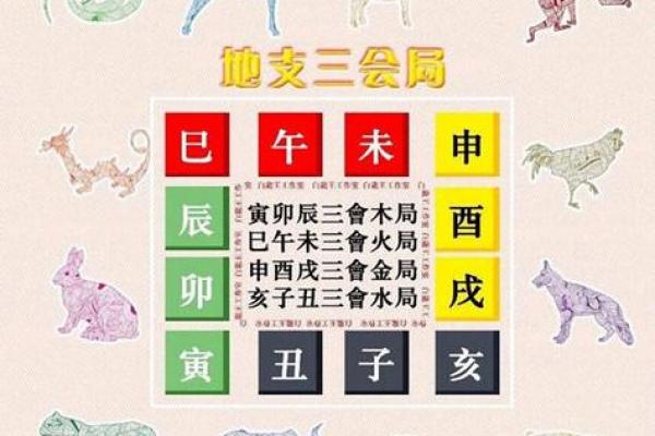 如何利用地支三合与三会提升运势