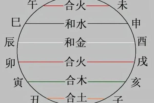 如何利用地支三合与三会提升运势