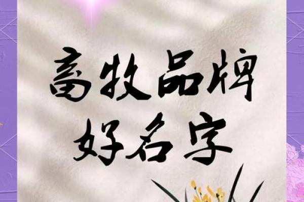 打造独特品牌形象：养殖公司命名技巧