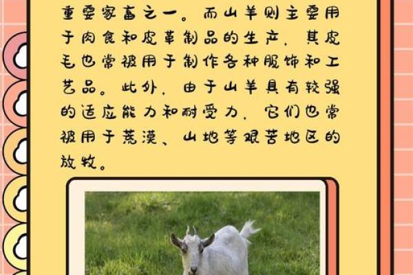从羊的形象看中国古代文化的精神内涵