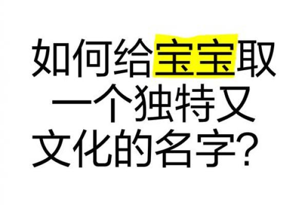 球球名字魅力揭秘：如何为宝宝取一个独特响亮的名字＿